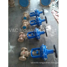 Pressure Balanced Caged Control Valve